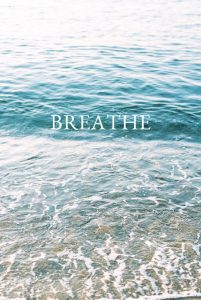 Breathe - Pexels - Photo by Leeloo Thefirst